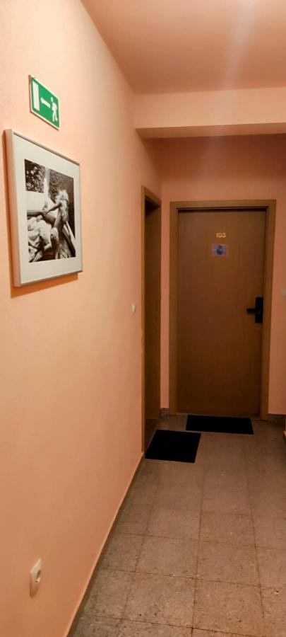 Villa Dm Baška Voda Екстериор снимка